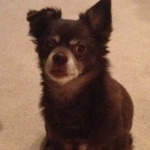 Meet your Posher, Kara